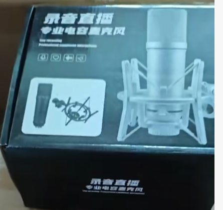 Professional Studio Condenser Microphone with Shock Mount